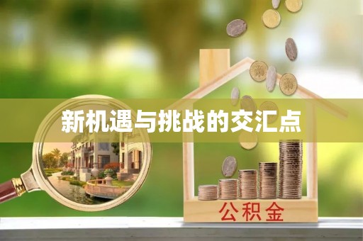 祁东新机遇与挑战的交汇点