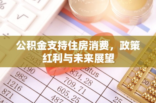 祁东公积金支持住房消费，政策红利与未来展望
