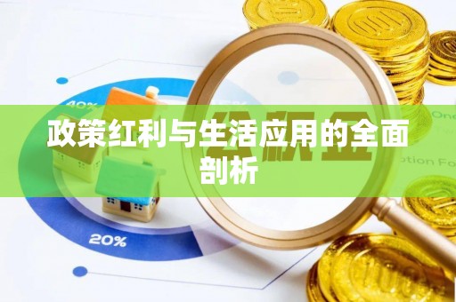 祁东政策红利与生活应用的全面剖析